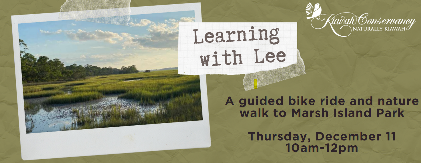Learning with Lee